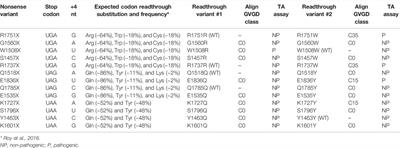 Functional Restoration of BRCA1 Nonsense Mutations by Aminoglycoside-Induced Readthrough